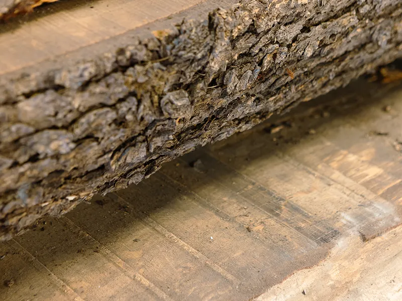 aziende-promozione-uso-del-legno