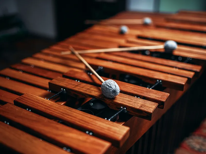 mogano-ebano-per-strumenti-musicali-a-como