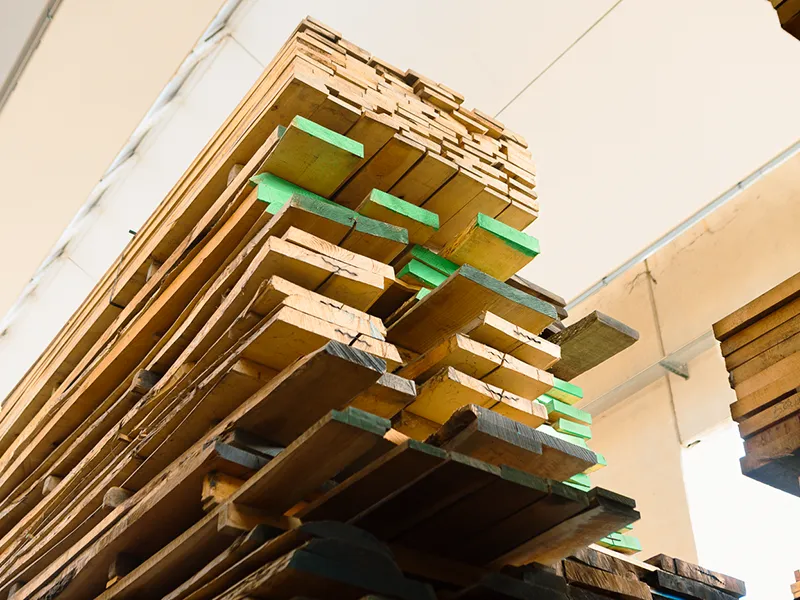 olmo-e-noce-canaletto