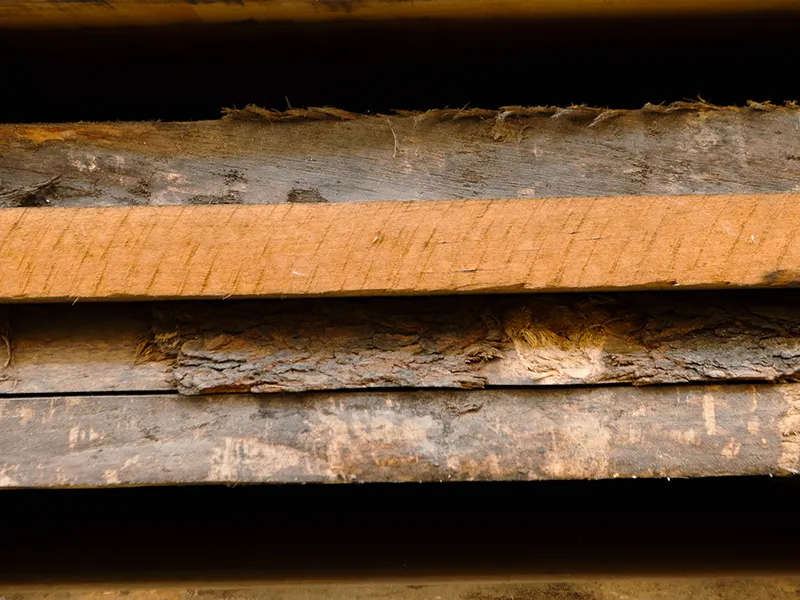 travi-grezze-di-acero-ciliegio-pioppo-a-monza-brianza