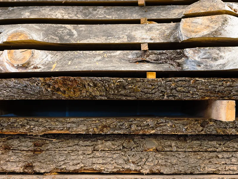 valorizzazione-del-legno-pregiato